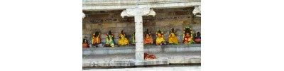 071. திருநெடுங்களம்
